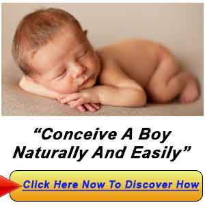 How To Conceive A Boy Naturally